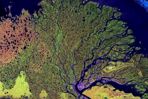 Река делта Река делта